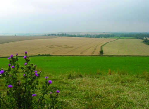 Crop circle seen from the hill top / Vista do alto do mound, paisagem com "crop circle"