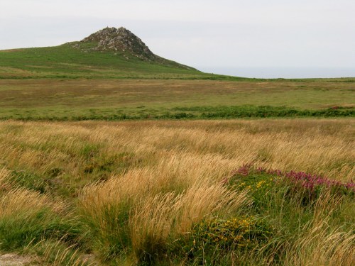 Paisagem / Landscape