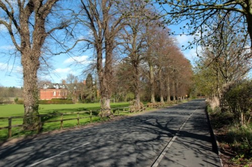 Caminhando no presente, de volta à cidade / Walking in the present, back to the city