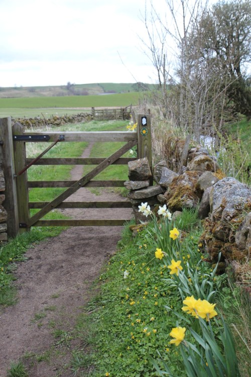 Alguns lugares tem porteiras. / Some fences have gates.