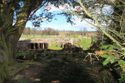 Praetorium , sob a sombra de um par de lindas árvores . A construção já estava sob a terra quando as raízes cresceram entre os tijolos./ Under the shade of lovely twin trees.The building was already underground when the roots grew among the ancient bricks.