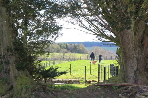 6 - Sob as mesmas árvores, para o outro lado, o caminho segue para a muralha e portão Sul./ Looking at the other side of the same trees, the way south 