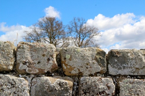 Ancient stones in Chesters / Pedras muuuuito antigas