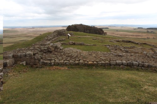 In Sewingshields, looking back at the woods / olhando para a florestinha que ficou para trás