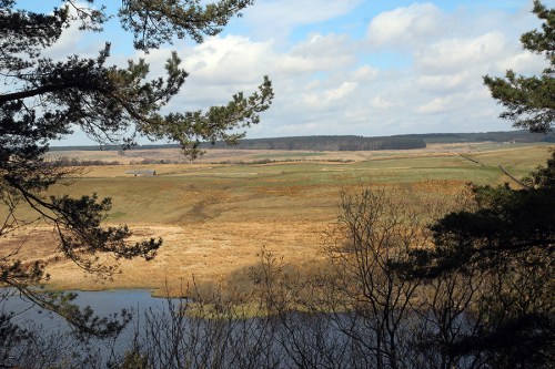 Landscape / Vista do Parque Nacional de Northumberland