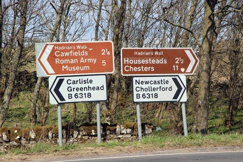 Objetivo do dia / My goal for the day