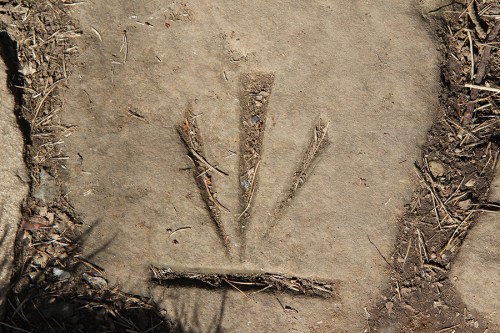 O símbolo dos druidas, gravado numa das pedras do caminho / The Druid symbol engraved in a stone