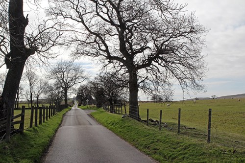 Caminho da rodovia ao sítio arqueológico /  Way from the main road to the archaeological site