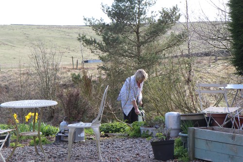No agradável jardim da hospedaria, esta senhora estava regando os canteiros de ervas. / A lady watering the herb beds at the inn's pleasant garden 