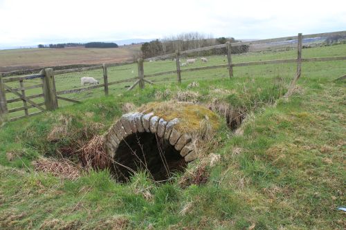 Vestígios do Forte de Aesica - onde a muralha desaparece / Aesica Fort remains, where the Wall disappears