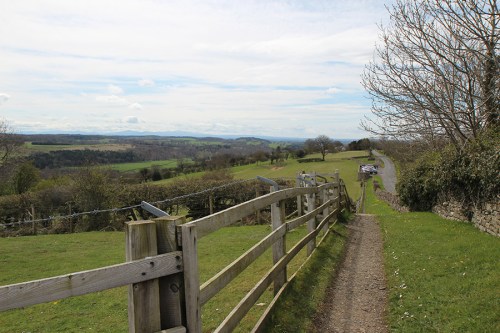 Trilha segue paralela à estrada