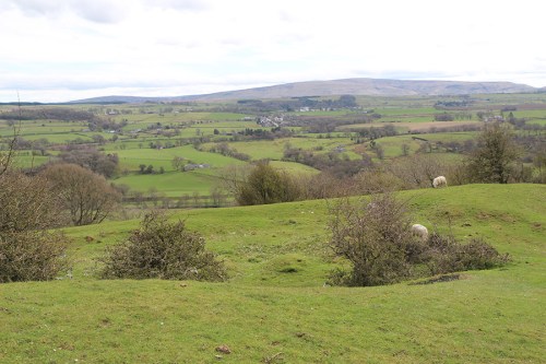 Linda região de pastagens/ Lovely pasture landscape