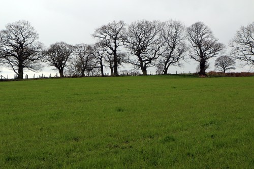 Chuva chegando / Rain is coming