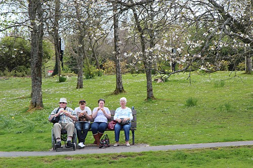 Cena típica / Typical scene