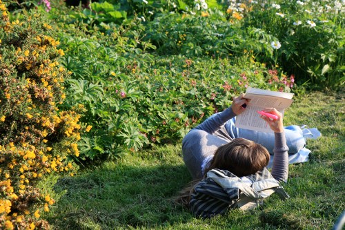 Bom lugar para estudar / Nice place to study