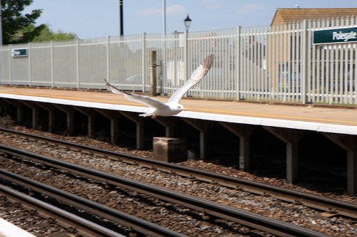 Passando o tempo na estação /Spending my time at Polegate Station