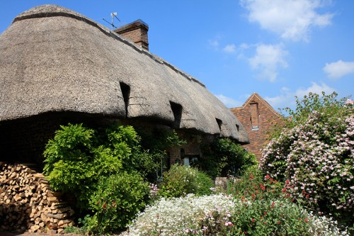 Wilmington : Telhados e jardins / Roofs and gardens
