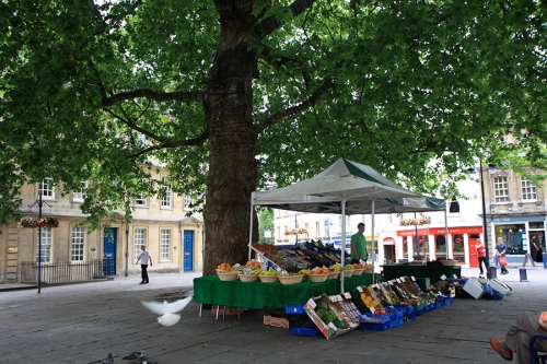 Feirinha sob uma árvore - Street market under a tree