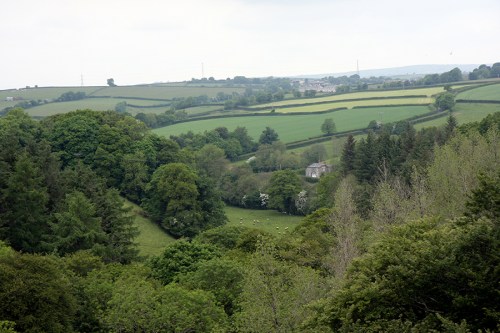 Pela janela do trem, viagem de volta (1) / View from the train on the way back (1)