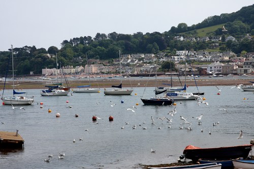 Pela janela do trem, viagem de volta (2) / View from the train on the way back (2)