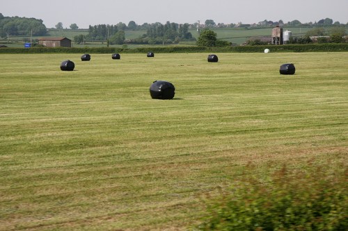 Pela janela do trem, viagem de volta (5) / View from the train on the way back (5)