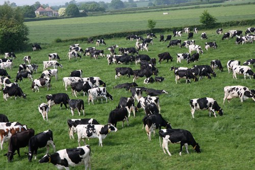 Pela janela do trem, viagem de volta (6) / View from the train on the way back (6)