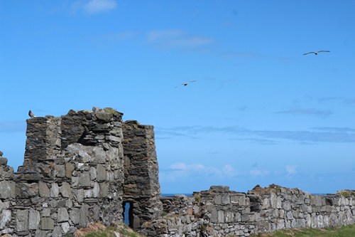 Vista oeste -dia / Daylight west landscape