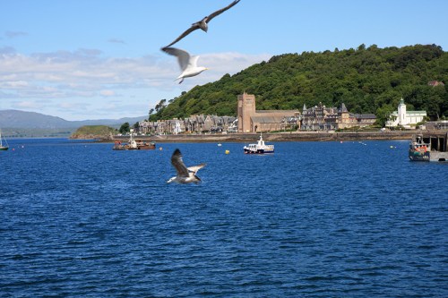 Vista do Terminal/ View from Oban Ferry Terminal 