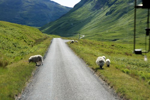 Fionnphort ficava no fim do mundo, embora eu ainda não soubesse disso. Foram horas atravessando pastos sem uma alma viva sequer, salvo as ovelhas que ali, no meio do nada, se plantavam tranquilas no meio da estrada. O motorista precisava parar e buzinar para que os bichinhos se levantassem e lentamente dessem passagem ao veículo. Fionnphort was at the end of the world, though I wasn’t still aware of that. The bus took hours crossing fields and pastures without a single living being except sheep. They lay down peacefully in the middle of the road; the driver had to stop and honk to make them get up and give way to the bus… slowly.