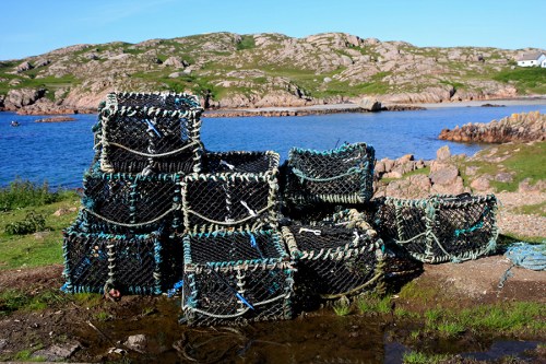 A principal atividade econômica é a pesca, especialmente caranguejos e lagostas. The catch of crabs and lobsters is the main economical activity