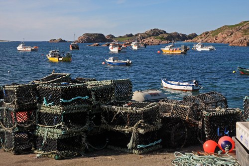 Fionnphort é o segundo maior vilarejo na área, com aproximadamente 80 habitantes. Fionnphort is the second largest settlement in the area (its population is approximately 80).