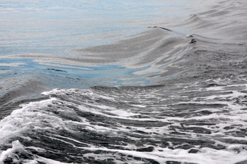 Mar aberto / Open sea