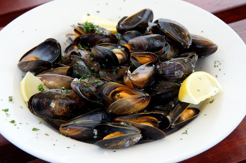 mussels